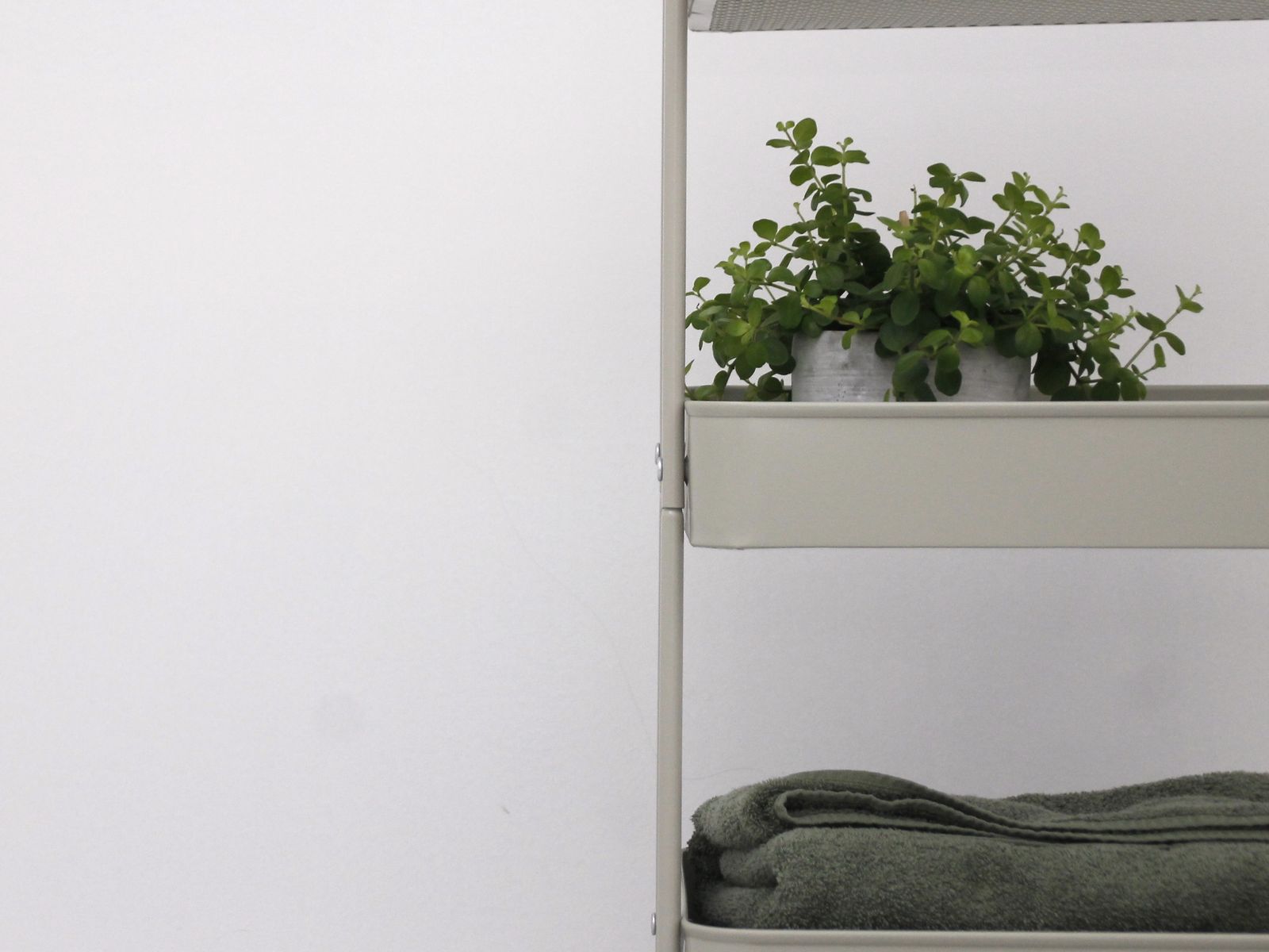 Green plant and folded towels styled on a bathroom shelf for an expensive look
