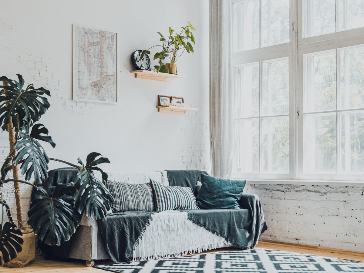 Bright living room with monstera plants drawing the eye from eyesores