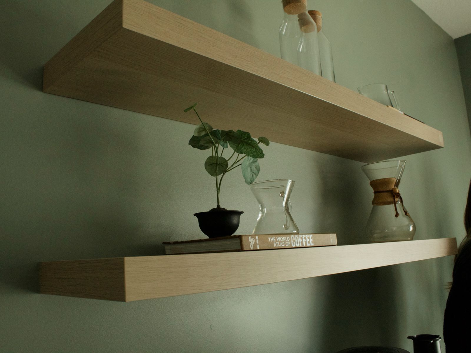 Slim picture-ledge shelves holding books mounted without drilling