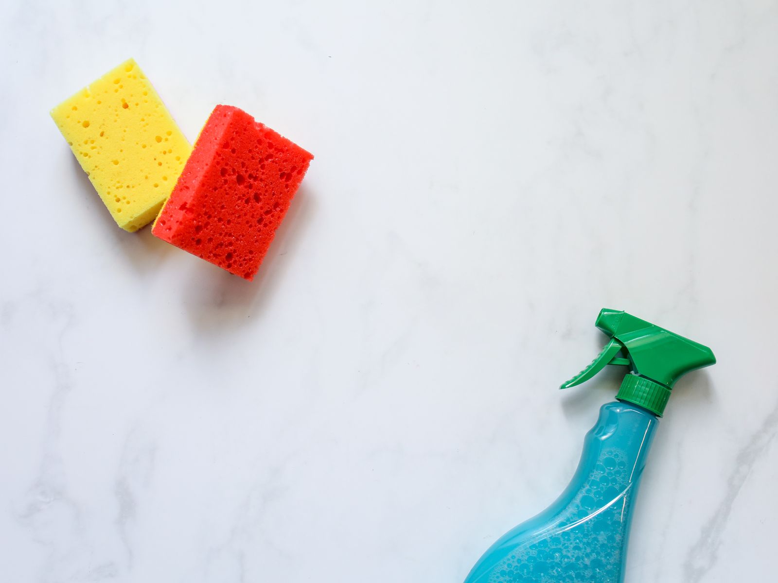 Sponges and a spray bottle used to remove scuffs from rental walls