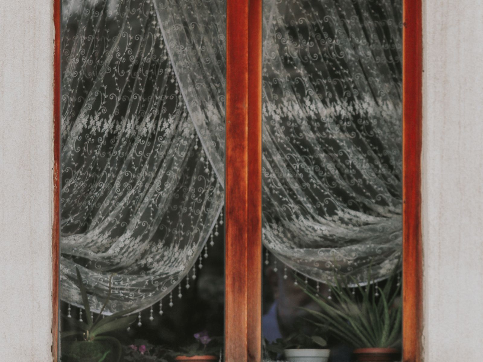 A rental window with light curtains and plants, hung without drilling