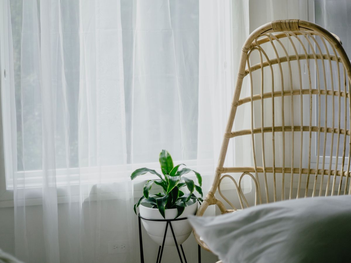 Sunny window with sheer curtains, a rattan chair and a plant, showing film paired with soft treatments